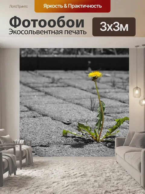 Фотообои Одуванчик
