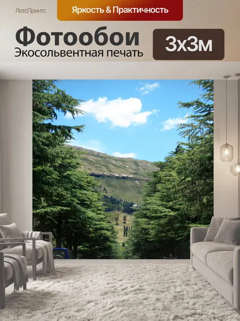 Фотообои улица в Кларанс