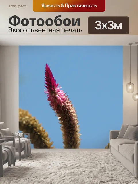 Фотообои Цветок