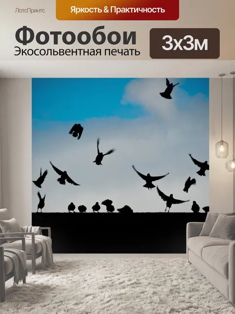 Фотообои Птицы