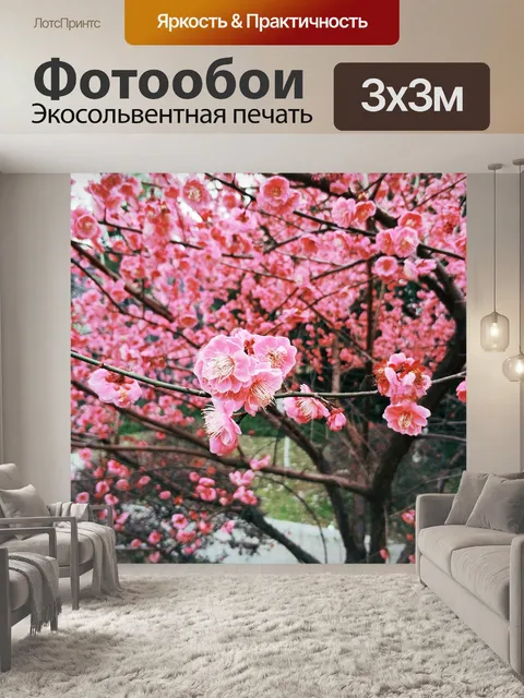 Фотообои Плам блоссом