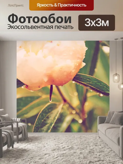 Фотообои Пионы
