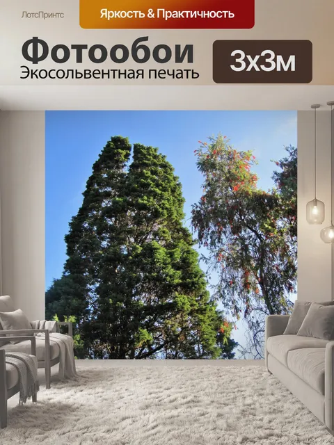 Фотообои хвойные и хвоща