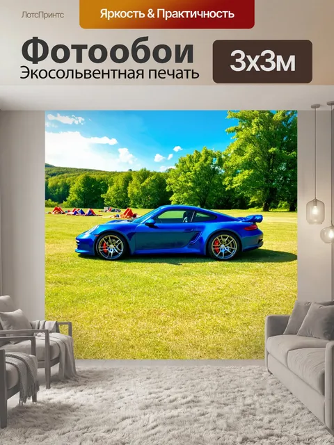 Фотообои спортивный автомобиль на фоне места для пикника, где видно живописное небо и легкий ветер
