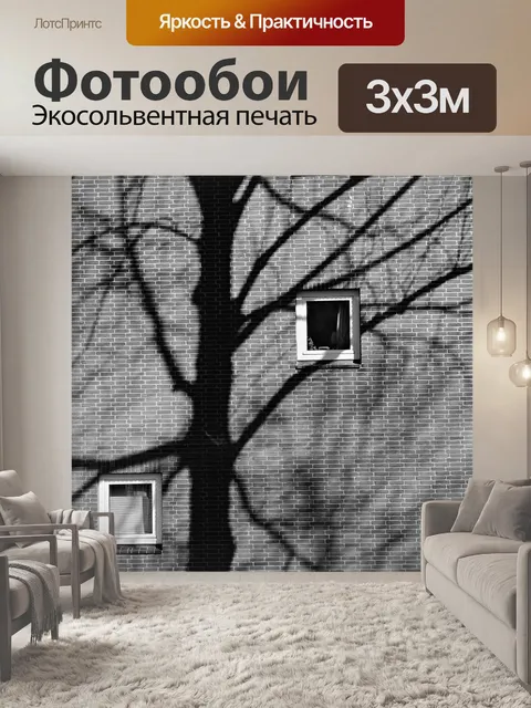 Фотообои Окна
