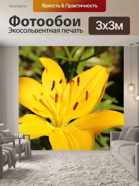 Фотообои Желтый цветы лилии