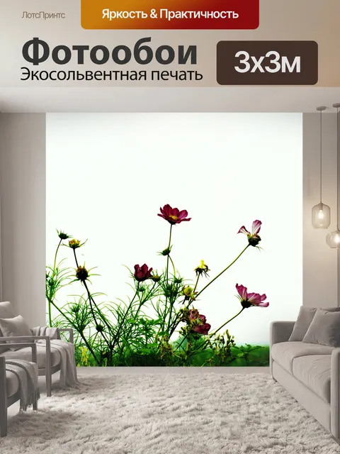 Фотообои Цветы