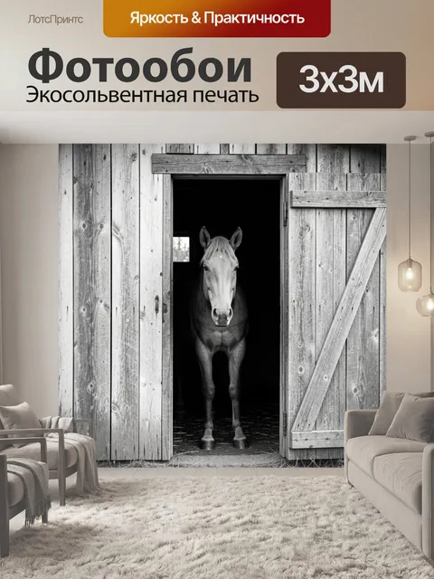 Фотообои Лошадь в дверном проеме