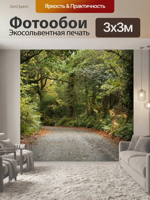 Фотообои Дорога
