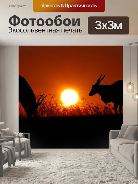 Фотообои Заход солнца