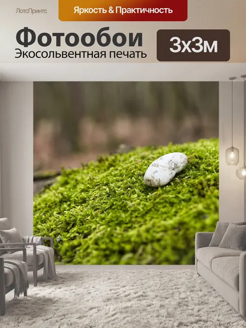 Фотообои Лес