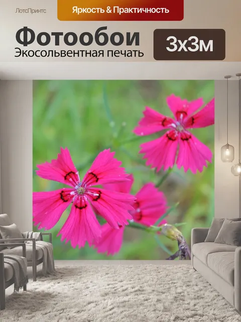 Фотообои Цветок