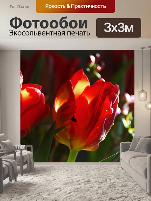 Фотообои Тюльпаны