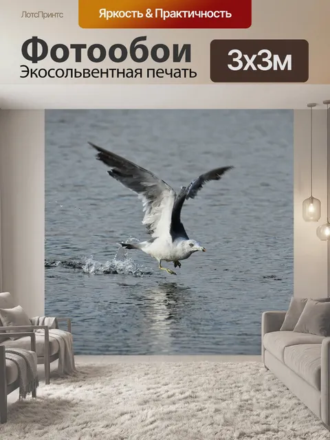 Фотообои Животное