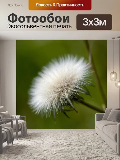 Фотообои Одуванчик