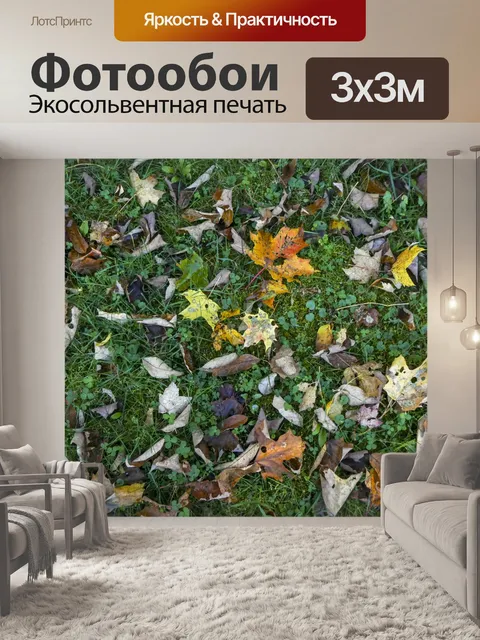 Фотообои Осенние листья на траве