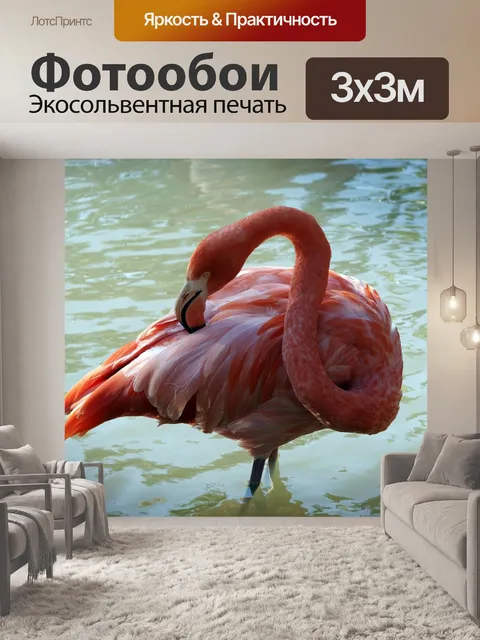 Фотообои Фламинго