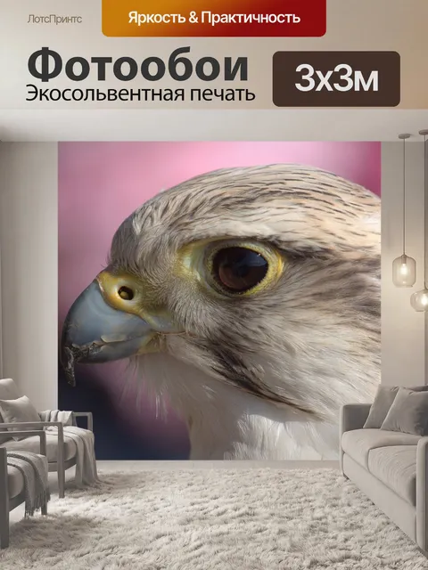 Фотообои Птица