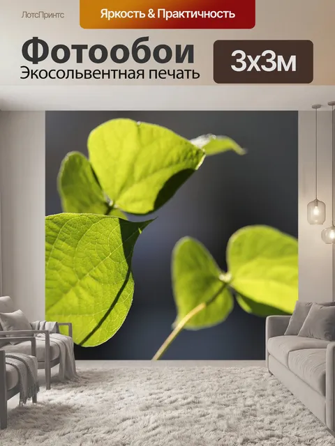 Фотообои Листья