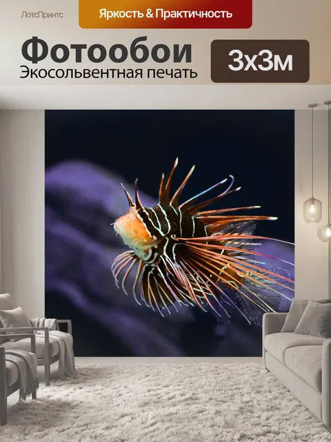 Фотообои Экзотические рыбы
