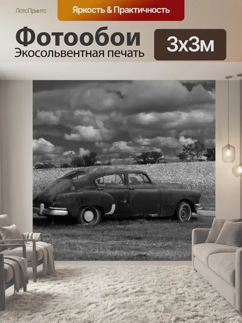 Фотообои Pontiac