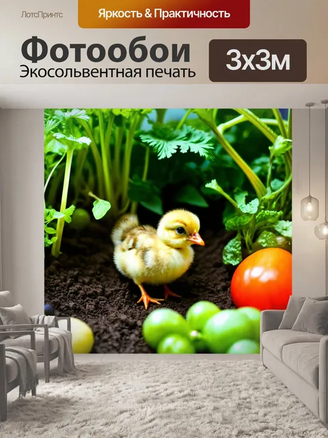 Фотообои маленький петушонок, исследующий сад, среди ярких овощей и зелени