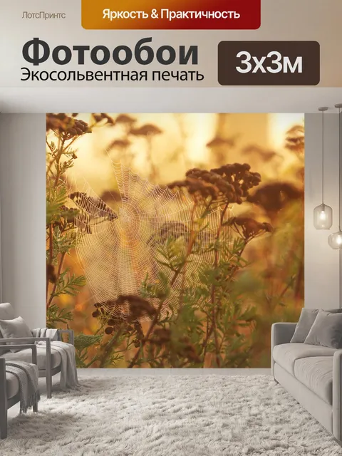 Фотообои Утренний туман