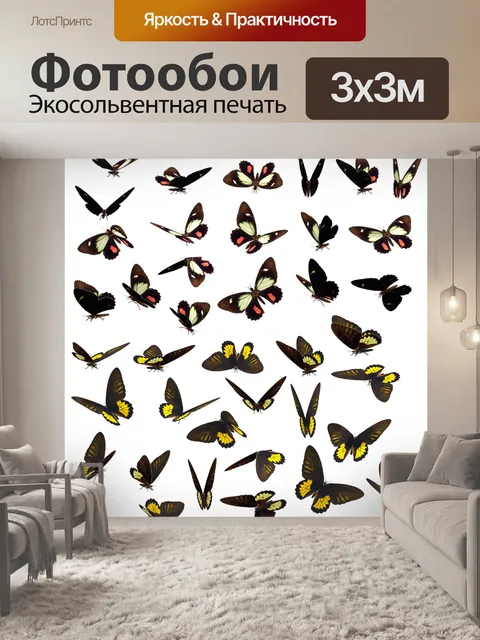 Фотообои Бабочка