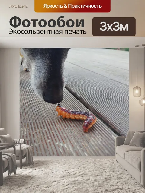 Фотообои Собака против червя 2