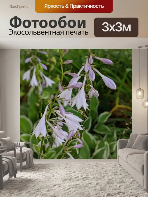 Фотообои Цветы