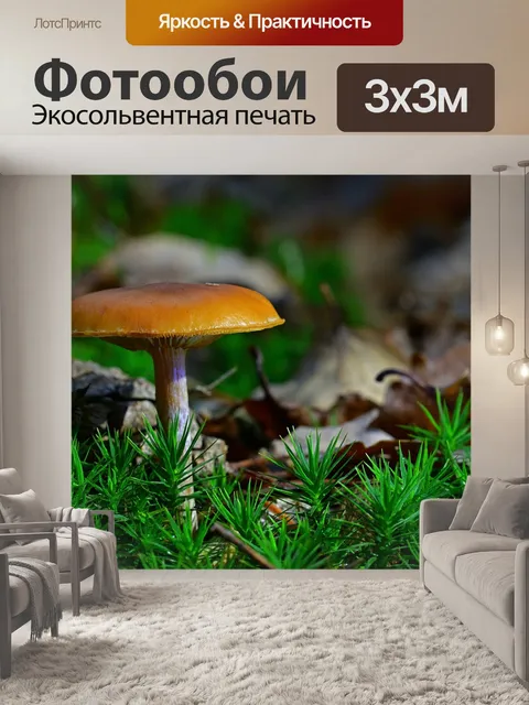 Фотообои Лес