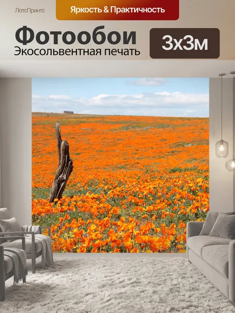 Фотообои Маки