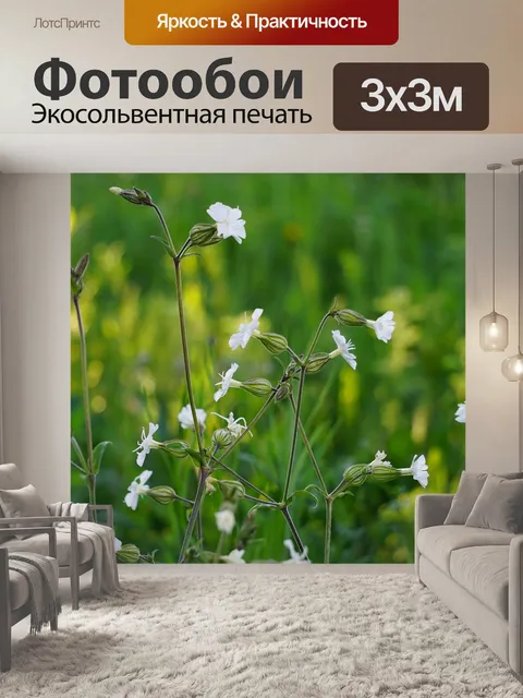 Фотообои Цветы