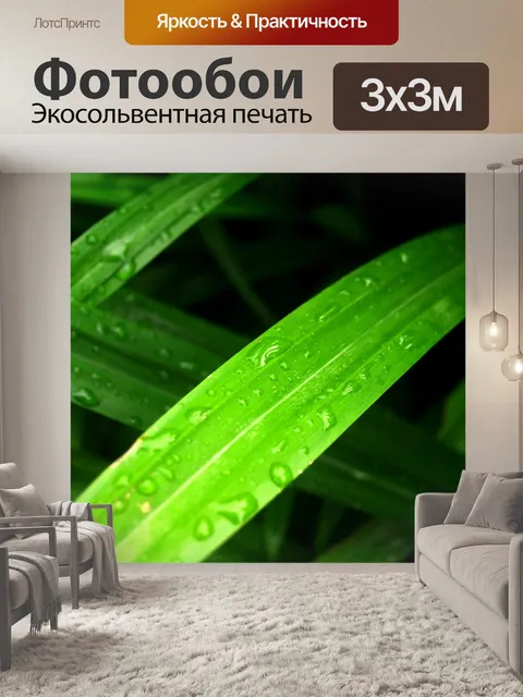 Фотообои Капля воды на листе
