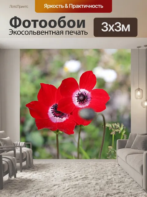 Фотообои Анемоны