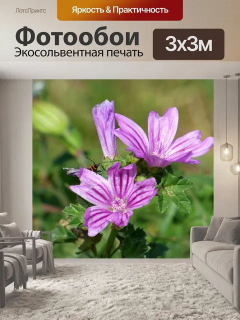 Фотообои Цветы