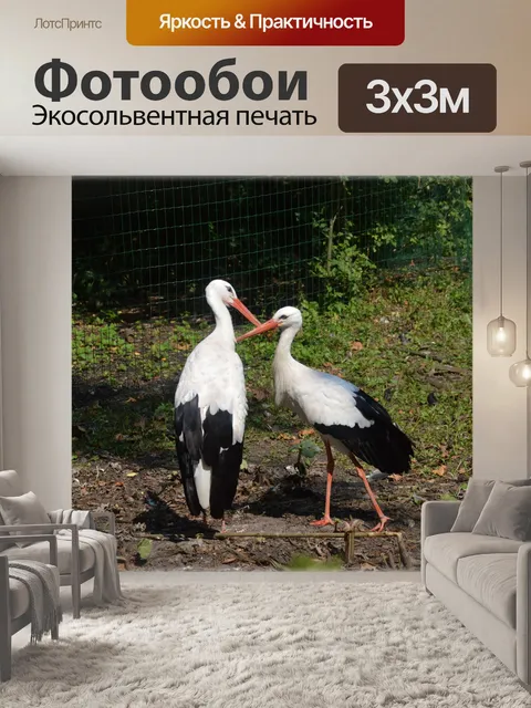 Фотообои Аист 2