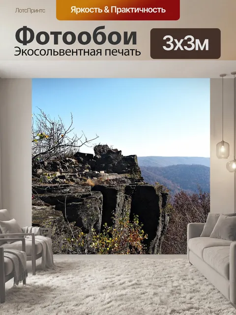 Фотообои Лес