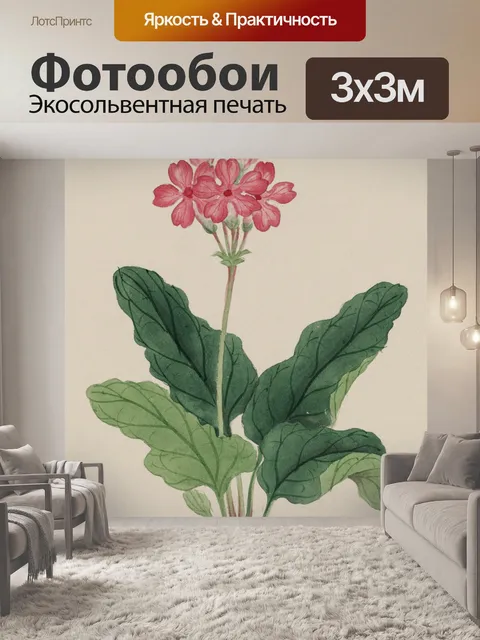 Фотообои Цветы