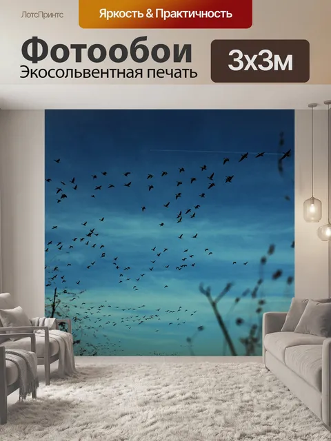 Фотообои Птицы