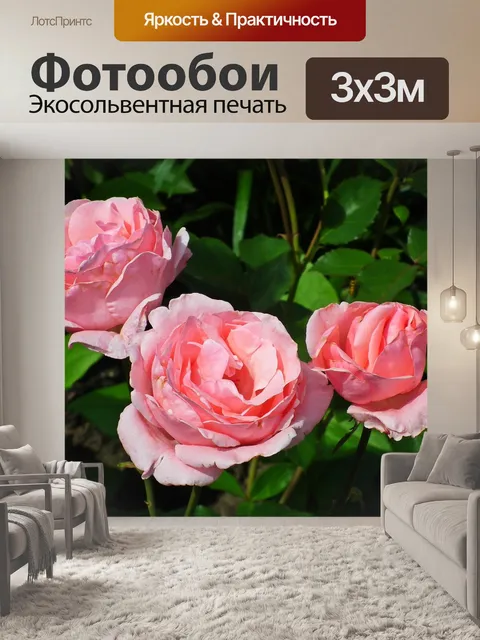 Фотообои Цветы