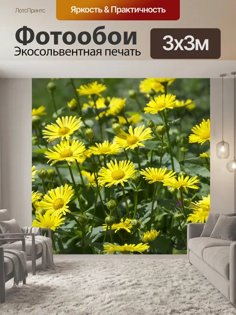 Фотообои Цветы