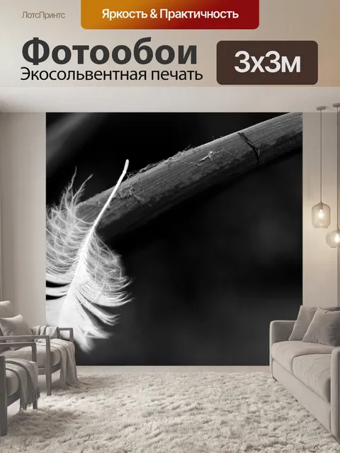 Фотообои Перо