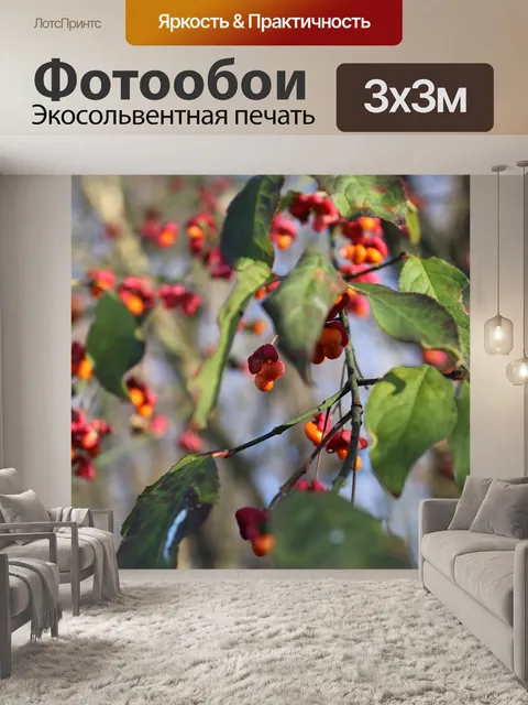 Фотообои Ягода