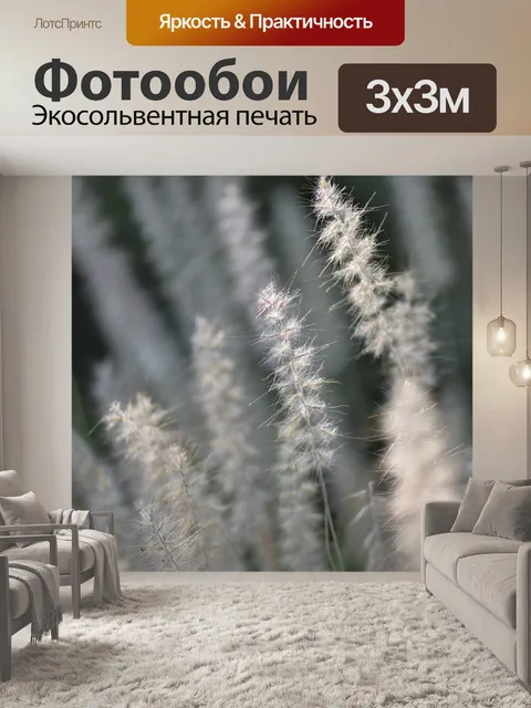 Фотообои Декоративные травы