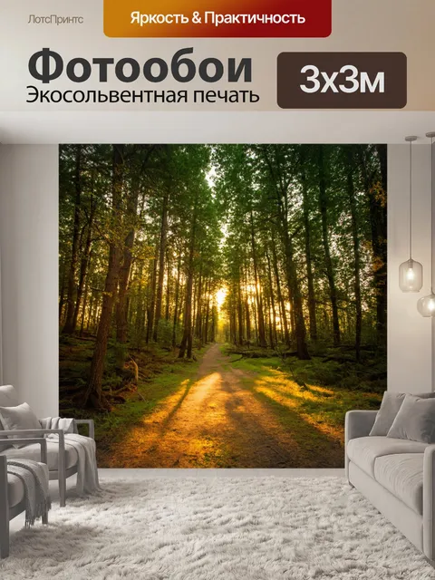Фотообои лес в стиле минимализм, вечерняя прогулка, легкие тени деревьев, расслабляющая атмосфера, гармония природы