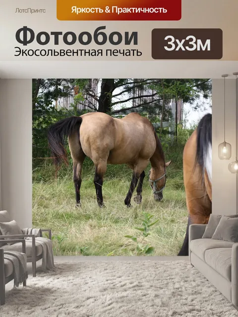 Фотообои Лошади
