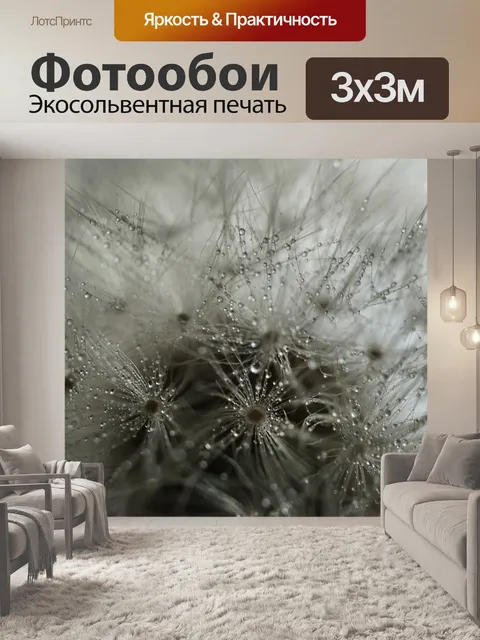 Фотообои Одуванчик