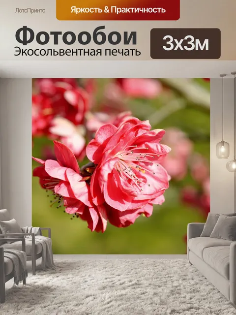 Фотообои Цветы