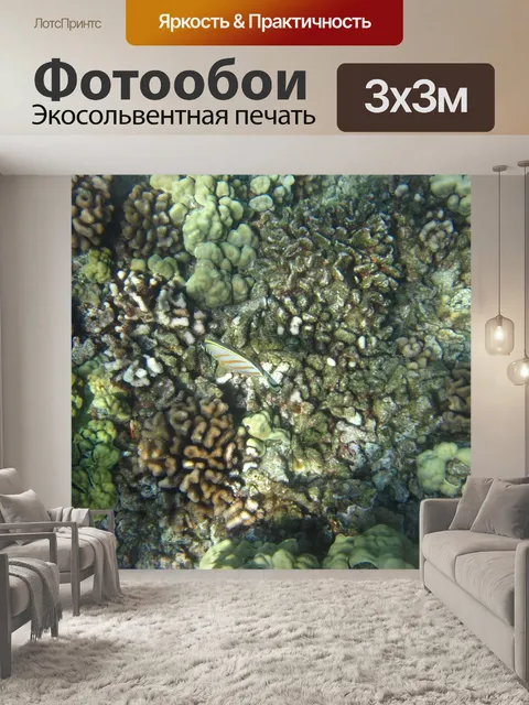Фотообои Рыбы